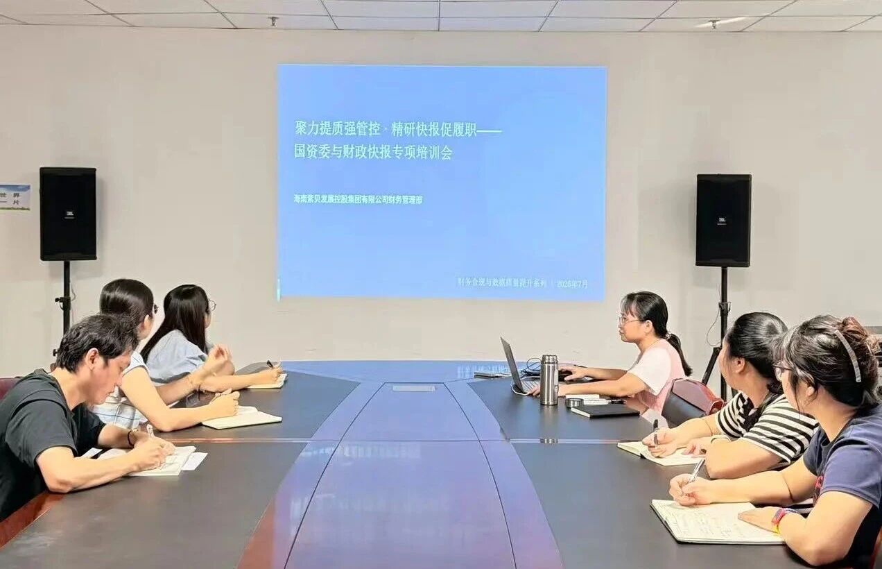 干货满满！紫贝发展集团财务业务骨干“传帮带”，吃透快报填报要点